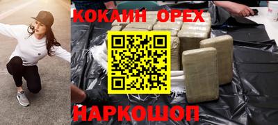 гашик Моздок
