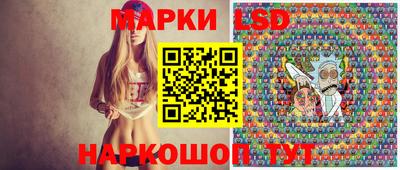 гашик Моздок