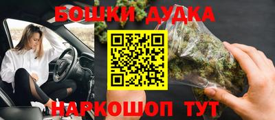 гашик Моздок