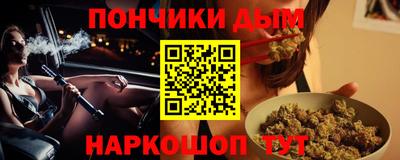 гашик Моздок