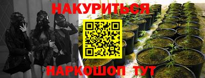 герыч Можга