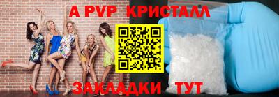 гашик Моздок
