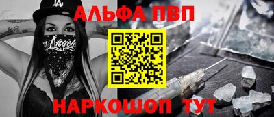 гашик Моздок