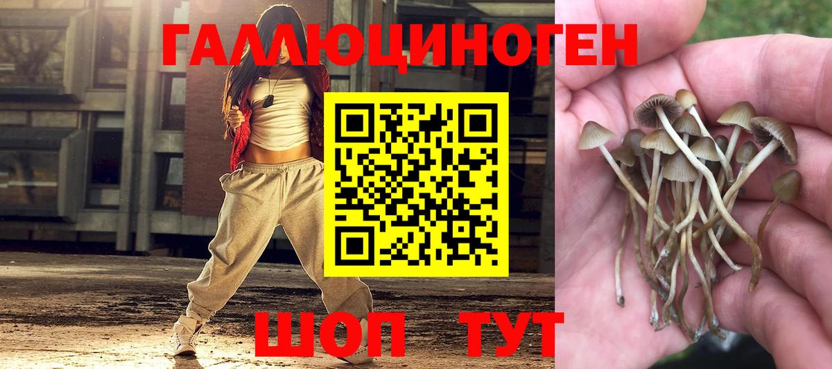 Приморско-Ахтарск  Галлюциногенные грибы Psilocybe  дарнет шоп  Вход с VPN 